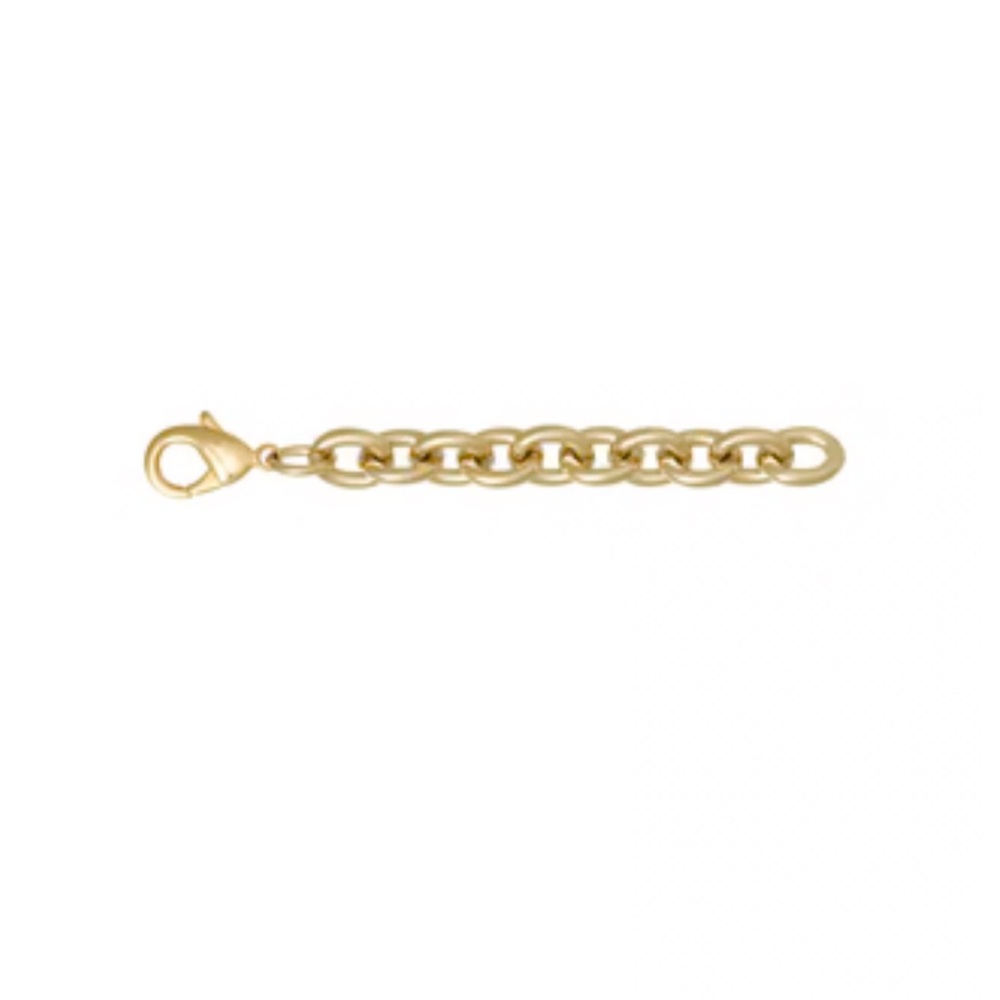 Roxanne Assoulin The Puffy Heart Necklace Extender in Gold